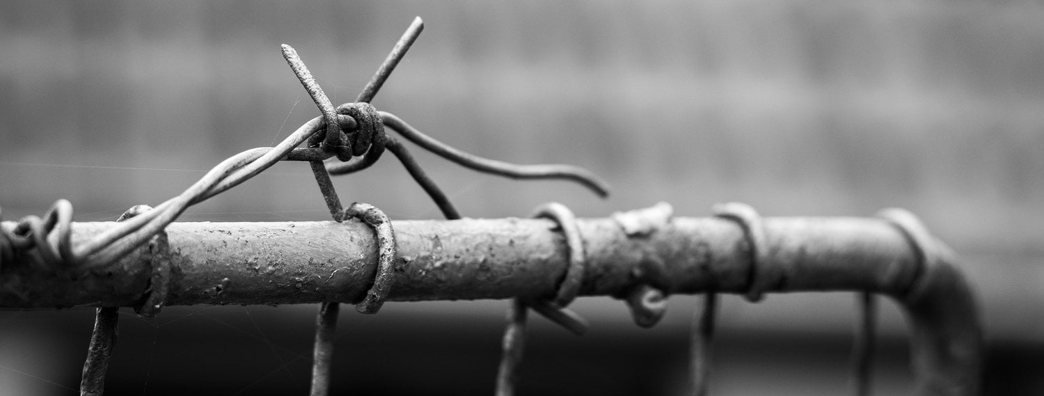 Image of barbed wire